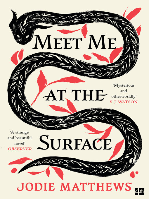 Title details for Meet Me at the Surface by Jodie Matthews - Available